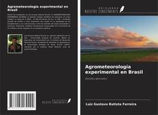 Agrometeorología experimental en Brasil kitap kapağı