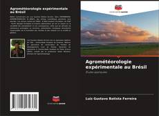 Agrométéorologie expérimentale au Brésil kitap kapağı