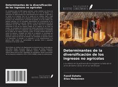 Determinantes de la diversificación de los ingresos no agrícolas的封面