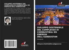 Bookcover of SVILUPPO SOSTENIBILE DEL COMPLESSO DI COMBUSTIBILI ED ENERGIA DELL'UZBEKISTAN