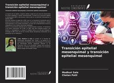 Buchcover von Transición epitelial mesenquimal y transición epitelial mesenquimal