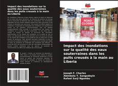 Portada del libro de Impact des inondations sur la qualité des eaux souterraines dans les puits creusés à la main au Liberia