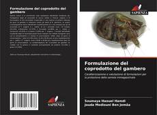 Bookcover of Formulazione del coprodotto del gambero