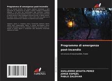 Bookcover of Programma di emergenza post-incendio