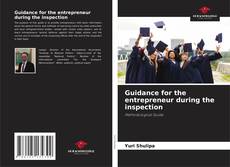 Copertina di Guidance for the entrepreneur during the inspection