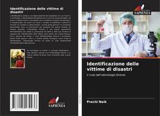 Bookcover of Identificazione delle vittime di disastri