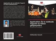 Application de la méthode Taguchi au béton géopolymère kitap kapağı