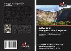 Bookcover of Sviluppo di nanoparticelle d'argento