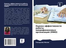 Buchcover von Оценка эффективности работы микрофинансовых организаций (МФО)