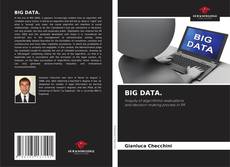Bookcover of BIG DATA.