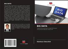 Bookcover of BIG DATA