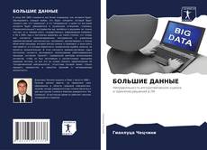 Portada del libro de БОЛЬШИЕ ДАННЫЕ