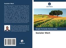 Capa do livro de Sozialer Wert 