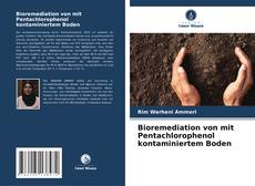 Buchcover von Bioremediation von mit Pentachlorophenol kontaminiertem Boden