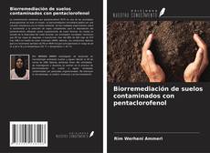 Capa do livro de Biorremediación de suelos contaminados con pentaclorofenol 