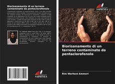 Capa do livro de Biorisanamento di un terreno contaminato da pentaclorofenolo 