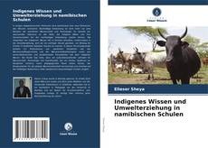 Indigenes Wissen und Umwelterziehung in namibischen Schulen的封面