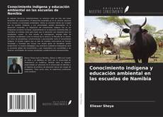 Bookcover of Conocimiento indígena y educación ambiental en las escuelas de Namibia