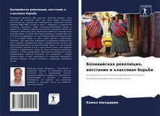 Боливийская революция, восстание и классовая борьба的封面