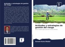 Portada del libro de Actitudes y estrategias de gestión del riesgo