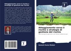 Portada del libro de Atteggiamento verso il rischio e strategie di gestione del rischio