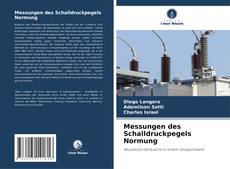 Couverture de Messungen des Schalldruckpegels Normung