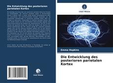 Buchcover von Die Entwicklung des posterioren parietalen Kortex