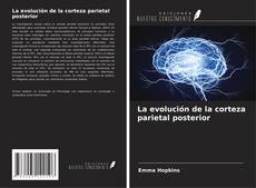 Bookcover of La evolución de la corteza parietal posterior