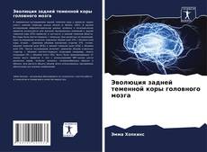 Portada del libro de Эволюция задней теменной коры головного мозга