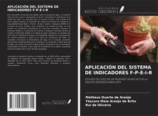 Обложка APLICACIÓN DEL SISTEMA DE INDICADORES F-P-E-I-R