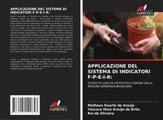 Bookcover of APPLICAZIONE DEL SISTEMA DI INDICATORI F-P-E-I-R: