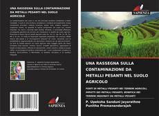 Buchcover von UNA RASSEGNA SULLA CONTAMINAZIONE DA METALLI PESANTI NEL SUOLO AGRICOLO