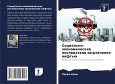 Portada del libro de Социально-экономические последствия загрязнения нефтью