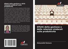 Buchcover von Effetti della gestione e delle relazioni sindacali sulla produttività