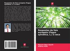 Bookcover of Respostas da faia europeia (Fagus sylvatica, L.) à seca