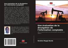Une évaluation de la divulgation de l'information comptable kitap kapağı