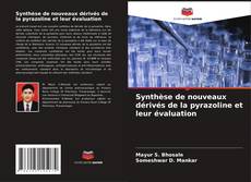 Capa do livro de Synthèse de nouveaux dérivés de la pyrazoline et leur évaluation 
