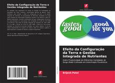 Обложка Efeito da Configuração da Terra e Gestão Integrada de Nutrientes