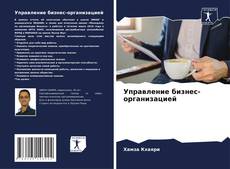 Управление бизнес-организацией的封面