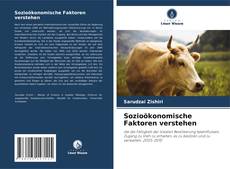 Portada del libro de Sozioökonomische Faktoren verstehen