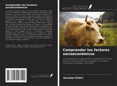 Bookcover of Comprender los factores socioeconómicos