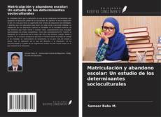 Matriculación y abandono escolar: Un estudio de los determinantes socioculturales的封面