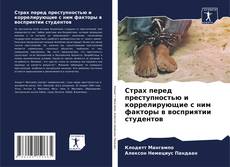 Страх перед преступностью и коррелирующие с ним факторы в восприятии студентов的封面