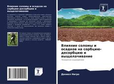 Влияние соломы и осадков на сорбцию-десорбцию и выщелачивание kitap kapağı