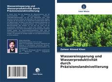 Buchcover von Wassereinsparung und Wasserproduktivität durch Präzisionslandnivellierung