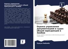Buchcover von Оценка управления документацией в судах общей юрисдикции в Замбии