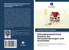 Buchcover von Mikroökonometrische Analyse der Herausforderungen und Aussichten