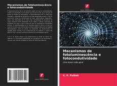 Bookcover of Mecanismos de fotoluminescência e fotocondutividade