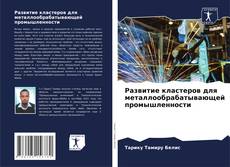 Bookcover of Развитие кластеров для металлообрабатывающей промышленности