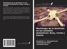 Buchcover von Morfología de la dentición en los animales domésticos: Buey, Cerdo y Canino